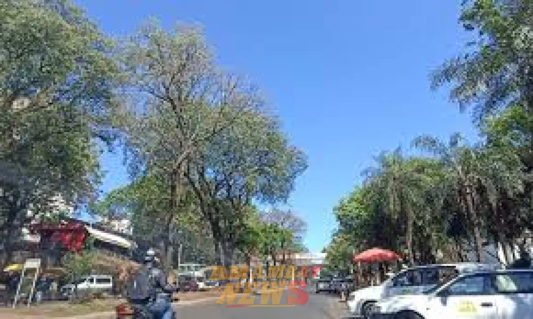 Mitad de semana con ambiente cálido y vientos moderados del noreste