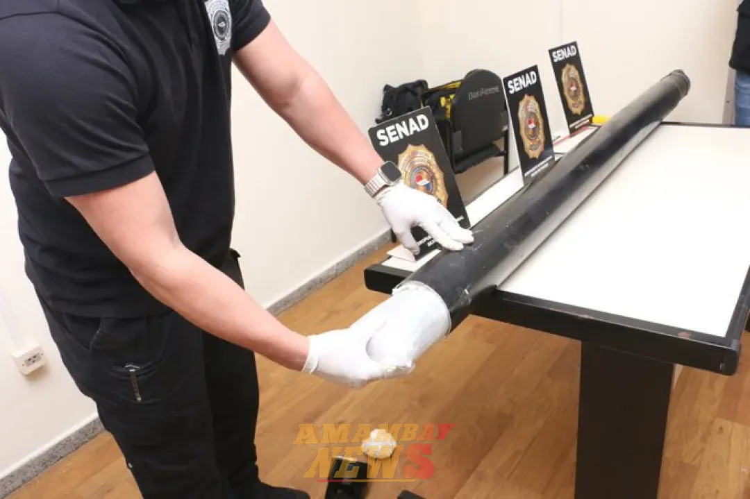 SENAD incautó más de 23 kilos de marihuana "vip" en repuestos para camiones procedentes de Miami