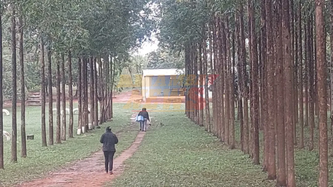 Se intensifica recorrido para detectar casos de sarampión