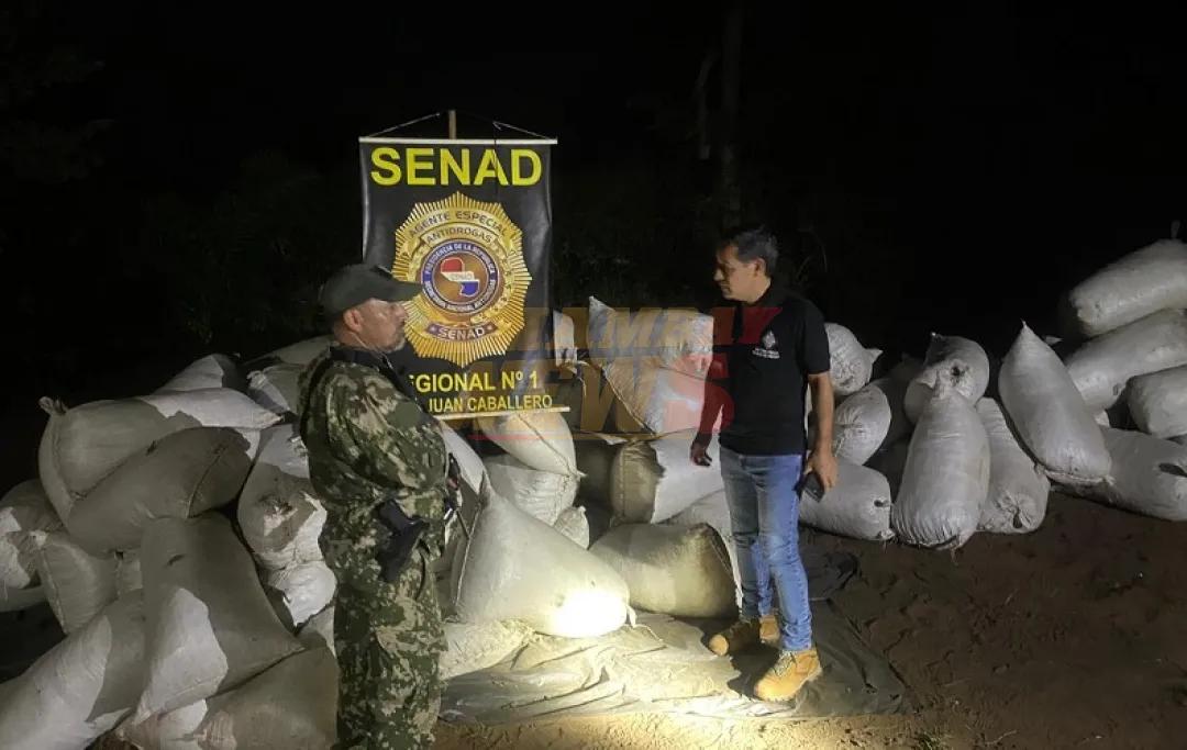 Golpe a estructura de acopio y procesamiento de marihuana en zona rural de Amambay