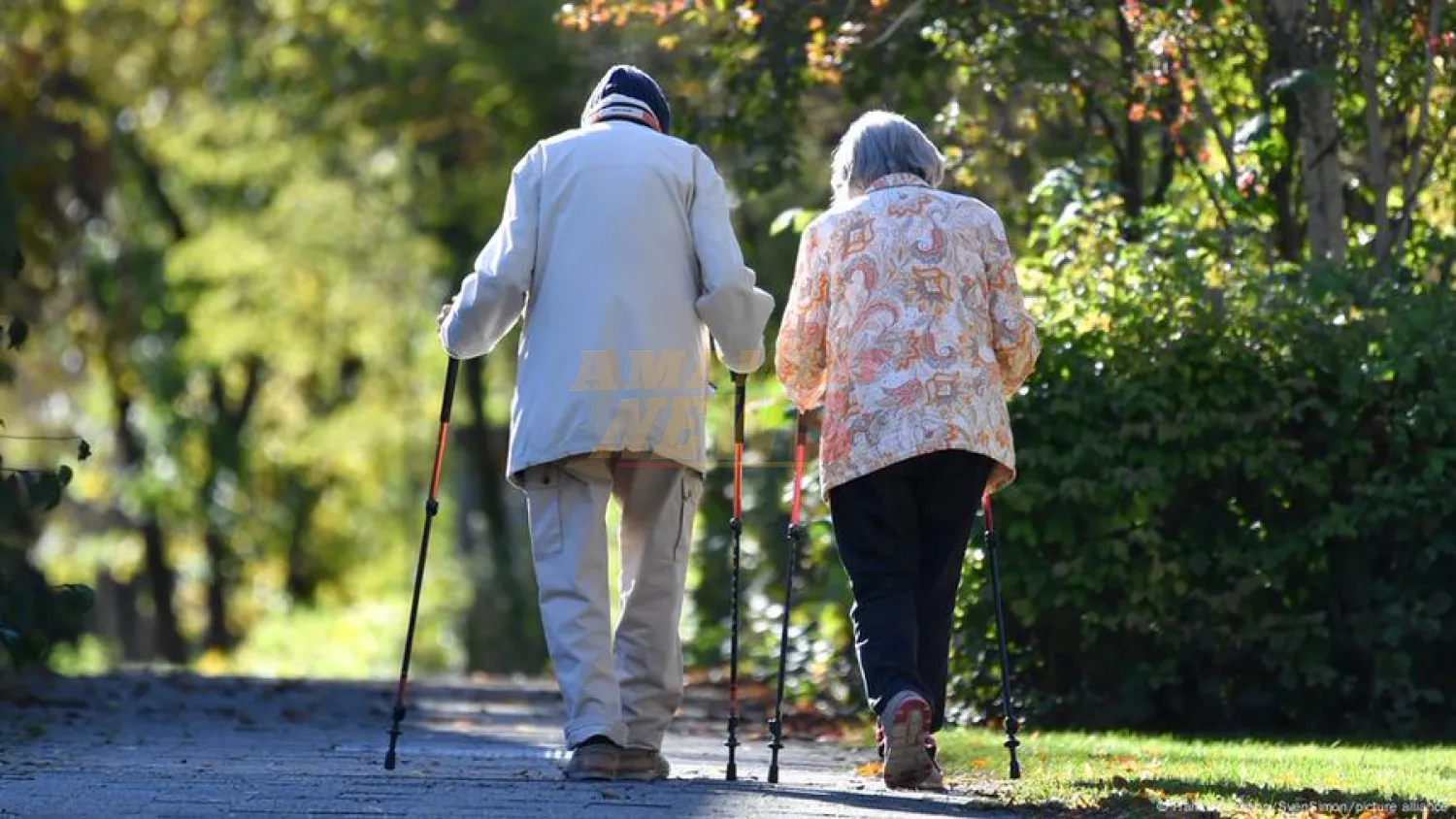 Pasos para retrasar el alzhéimer hasta siete años
