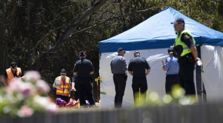 Cinco niños mueren tras accidente en globo loco en Australia