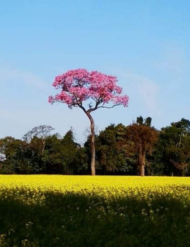 Meteorología anuncia un sábado con temperaturas de hasta 34ºC