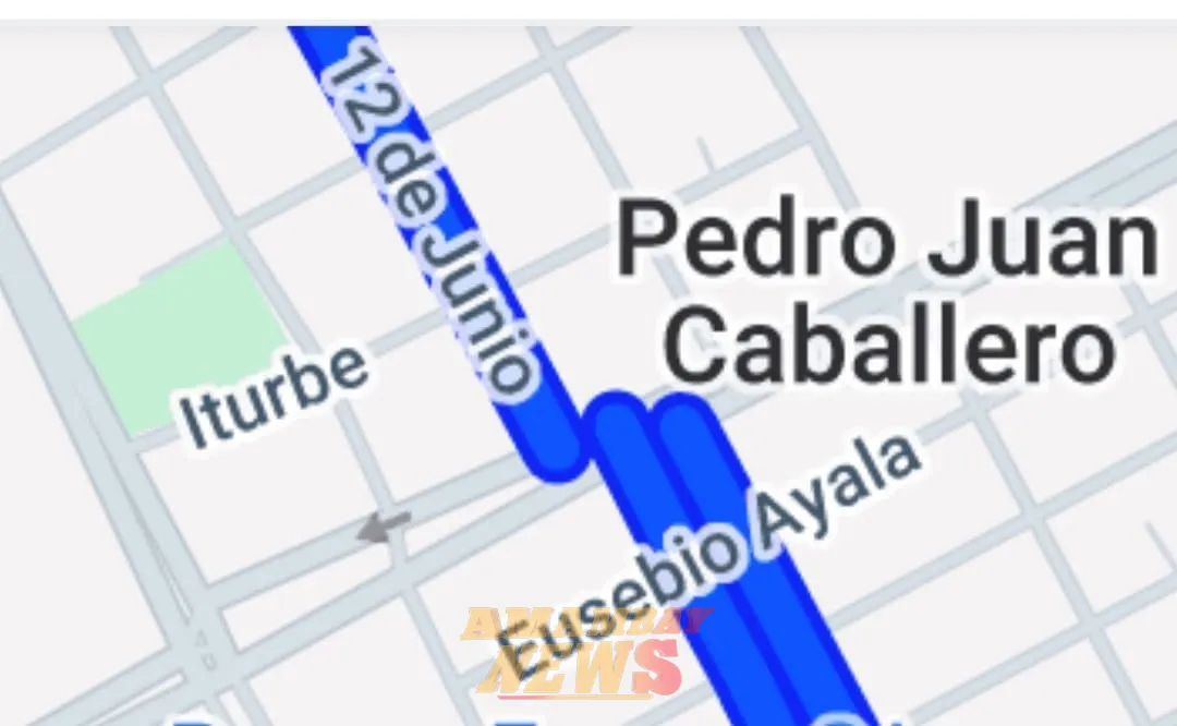 Avivados con apoyo de concejales quieren invadir una avenida en PJC