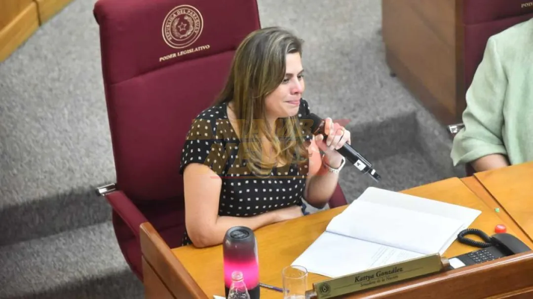 Caso Kattya: Recusación a la Corte fue una “orden personal” de Bachi Núñez, dice abogado