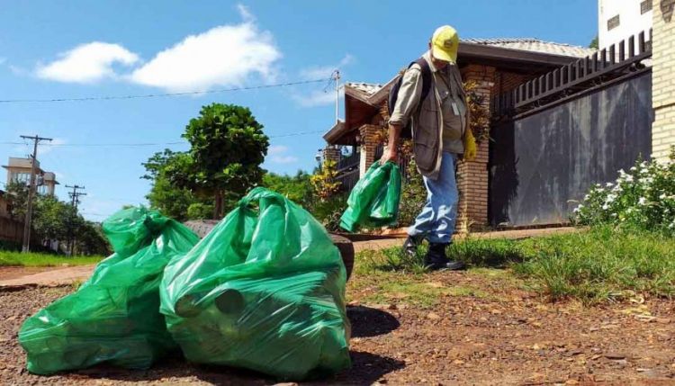 Senepa avisa que fumiga casas, no las limpia: inicia temporada alta del dengue
