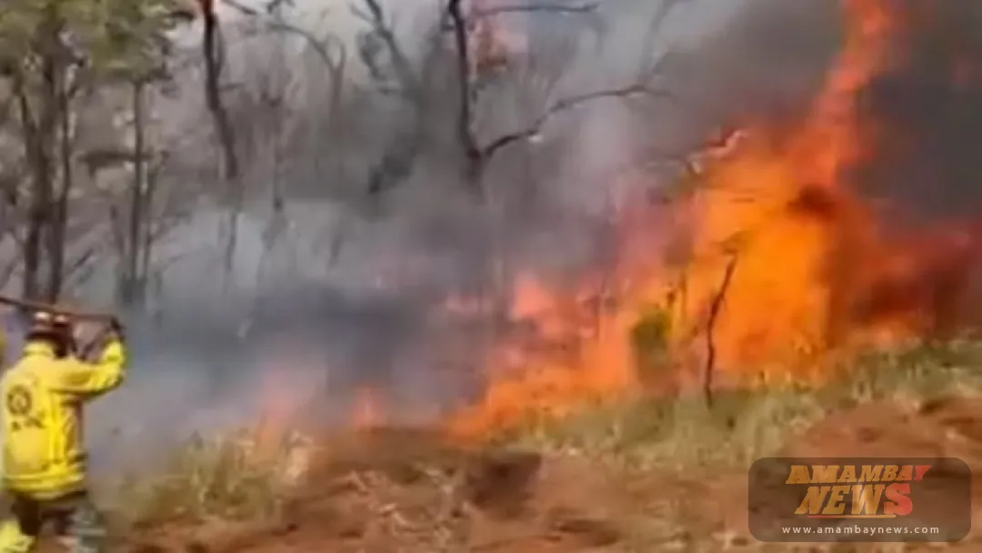 Bomberos evacuan a comunidades indígenas ante incendio forestal en Parque Cerro Corá