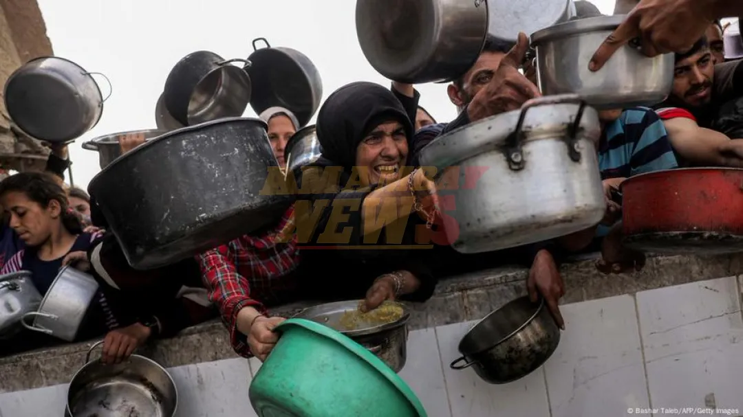 Situación en Gaza es una abominación, lamenta la OMS