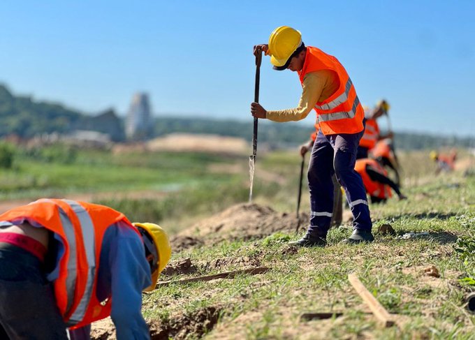 Plantatón 2024: sumarán 5.000 árboles a la Costanera Sur