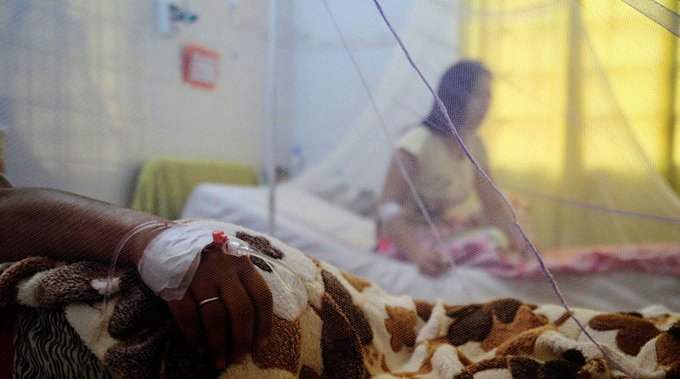 Salud insta a acudir al hospital más cercano ante signos de alarma del chikungunya