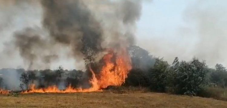 Pirotecnia ocasiona incendio de grandes proporciones en Pilar