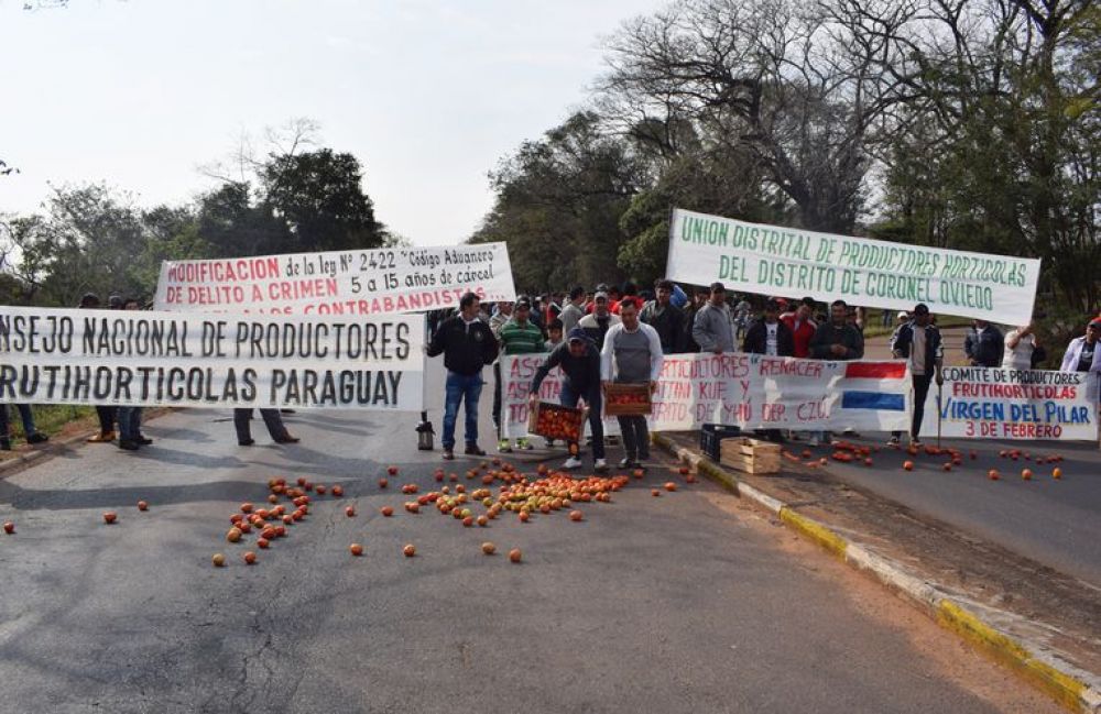 Ministro de Agricultura descarta subsidio a tomateros