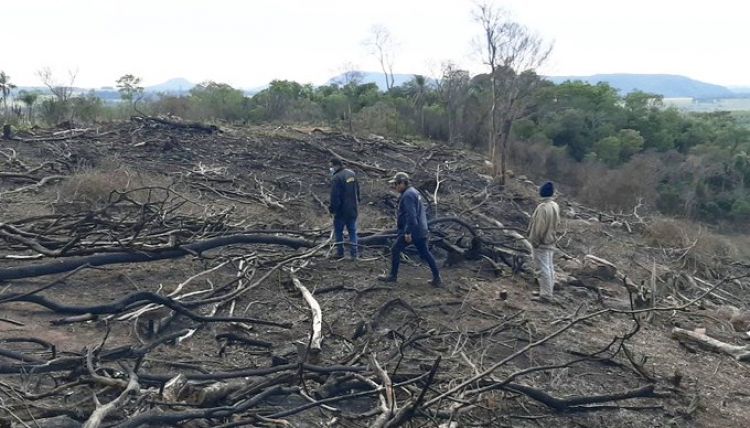 Intervienen una propiedad por tala y quema de árboles nativos en Ybycuí