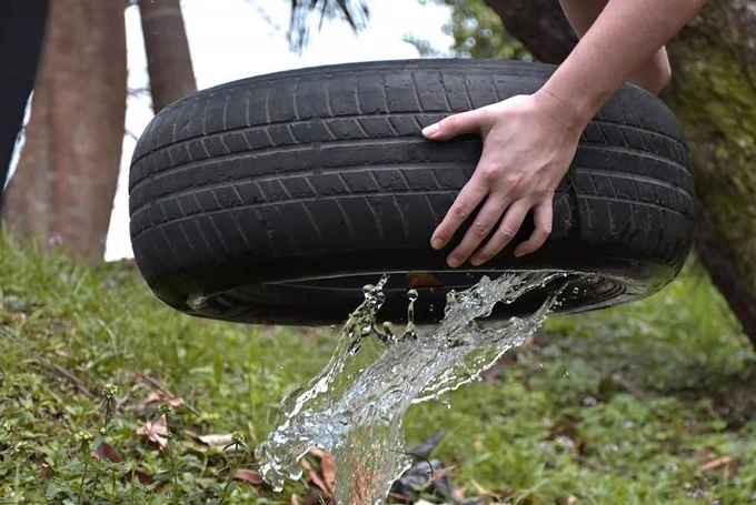 Instan al control y eliminación de criaderos de mosquitos