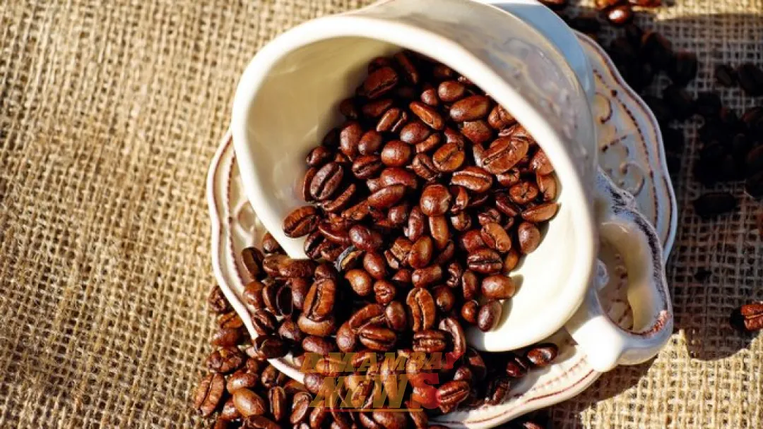 Café de lujo panameño se subastó arriba de los 7.000 dólares el kilo