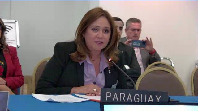Defensora General participó de sesión de la Comisión de Asuntos Jurídicos y Políticos de la OEA