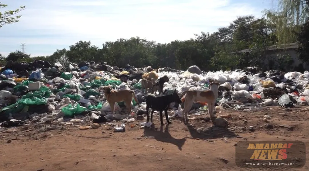 Vertederos clandestinos generan una contaminación importante en Asunción