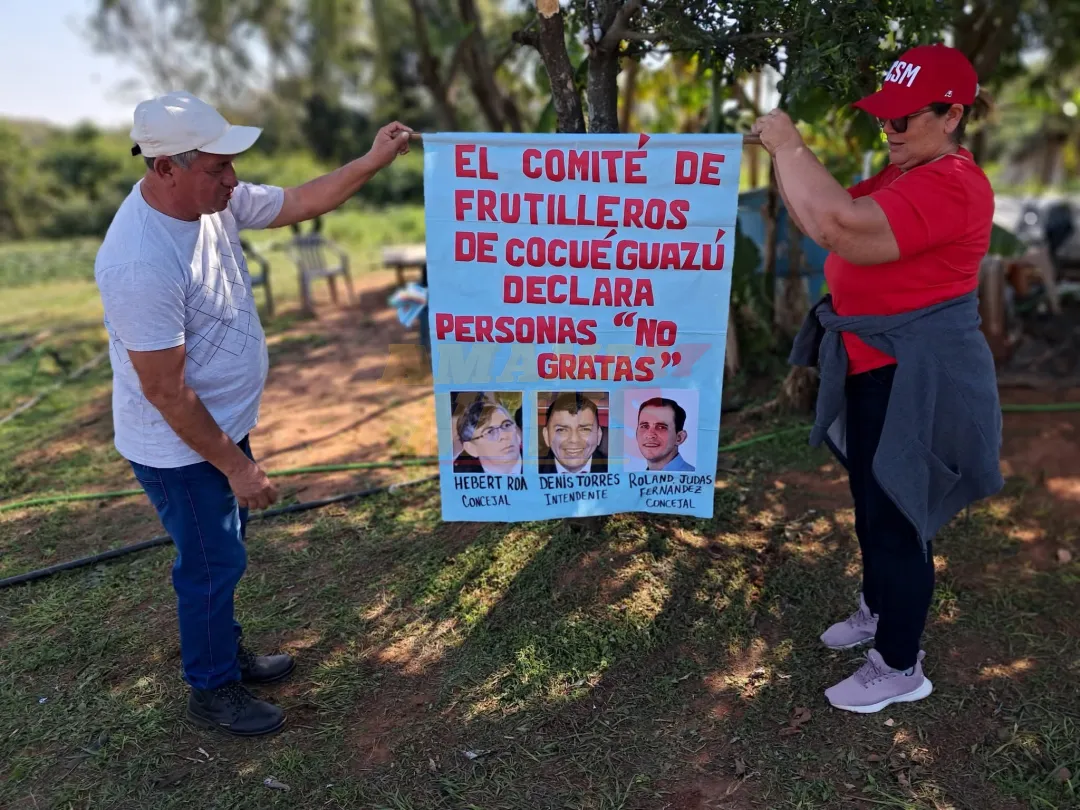 Productores de frutilla de Areguá denuncian cesión de tierras a empresa inmobiliaria por parte del municipio