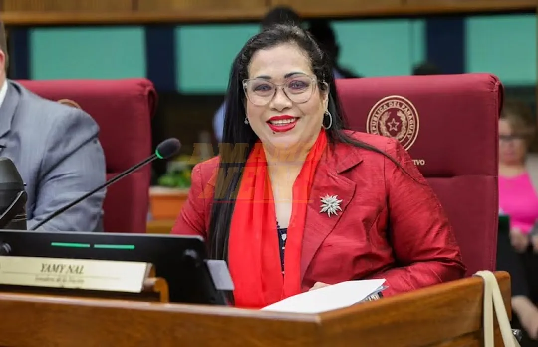 Senado exigirá al INE informe sobre contratación del hijo de Yamy Nal