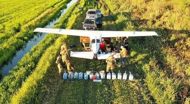 Senad: cocaína incautada en Misiones iba a ser enviada a Argentina