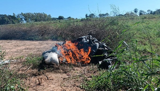 SENAD desplegó operativo en Yby Pytá y destruyó varias toneladas de droga