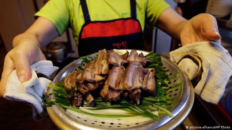 Corea del Sur analizará si prohíbe consumo de carne de perro