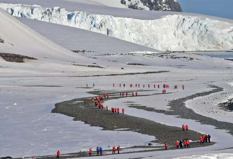 La Península de la Antártida registra su año más caluroso en tres décadas, según estudio