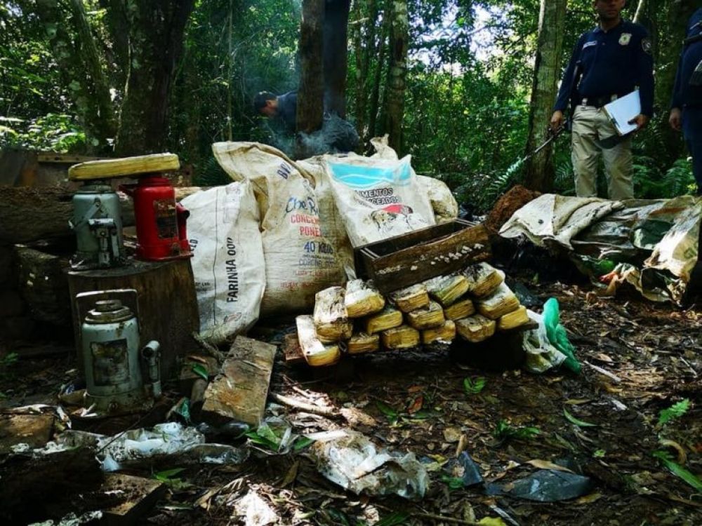Caaguazú: desmantelan campamento narco