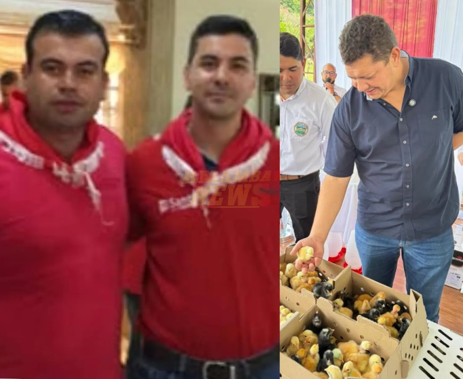 VIDEO: “Compraron pollitos por casi Gs. 500 millones y debe alcanzar a todos” dice concejal de Capitán Bado