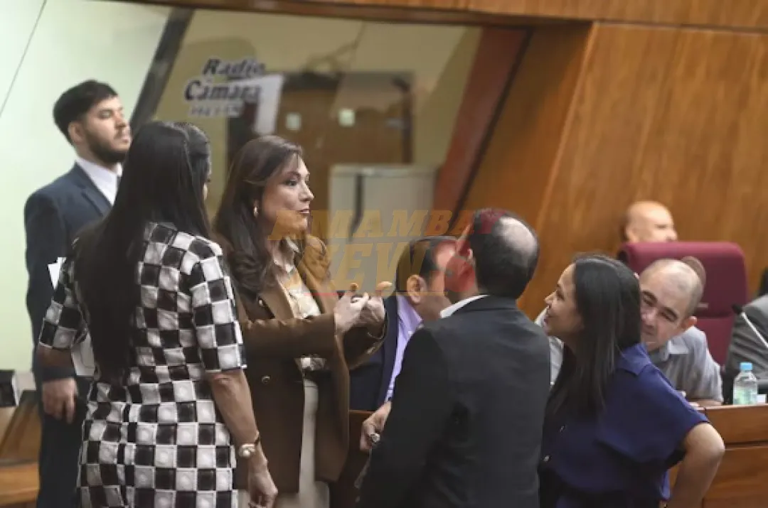 Cartistas bloquean investigación de negocios vinculados a Santi