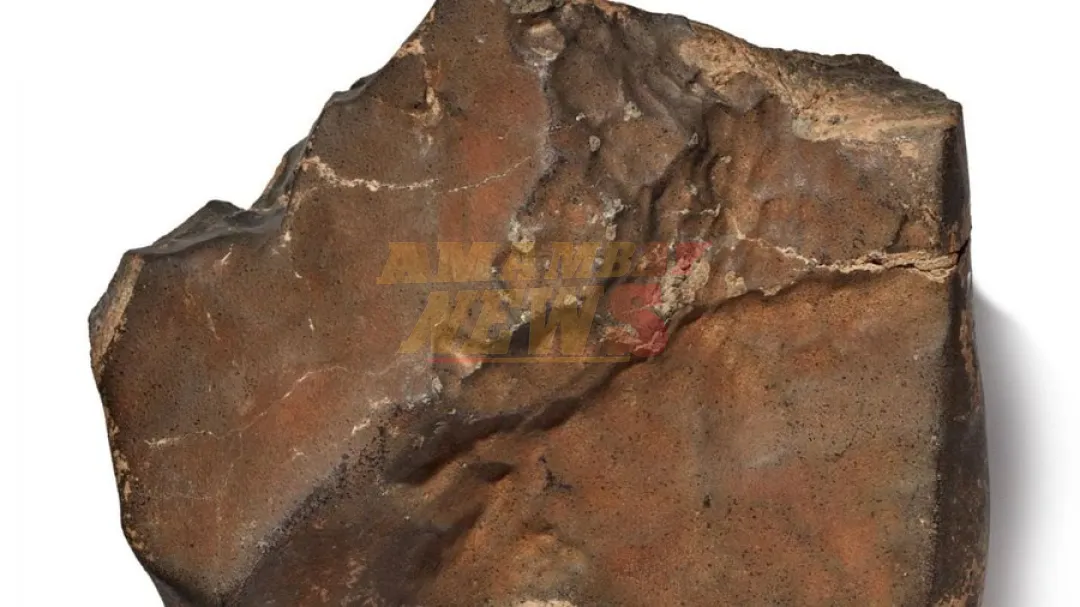 Subastarán el meteorito más grande jamás hallado en la Tierra proveniente de Marte