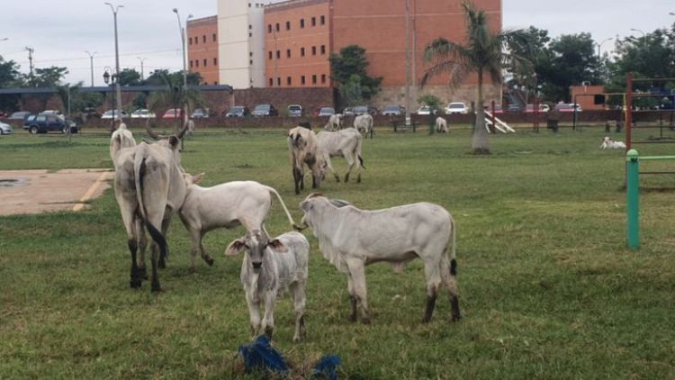 Exigen soluciones a autoridades en Concepción