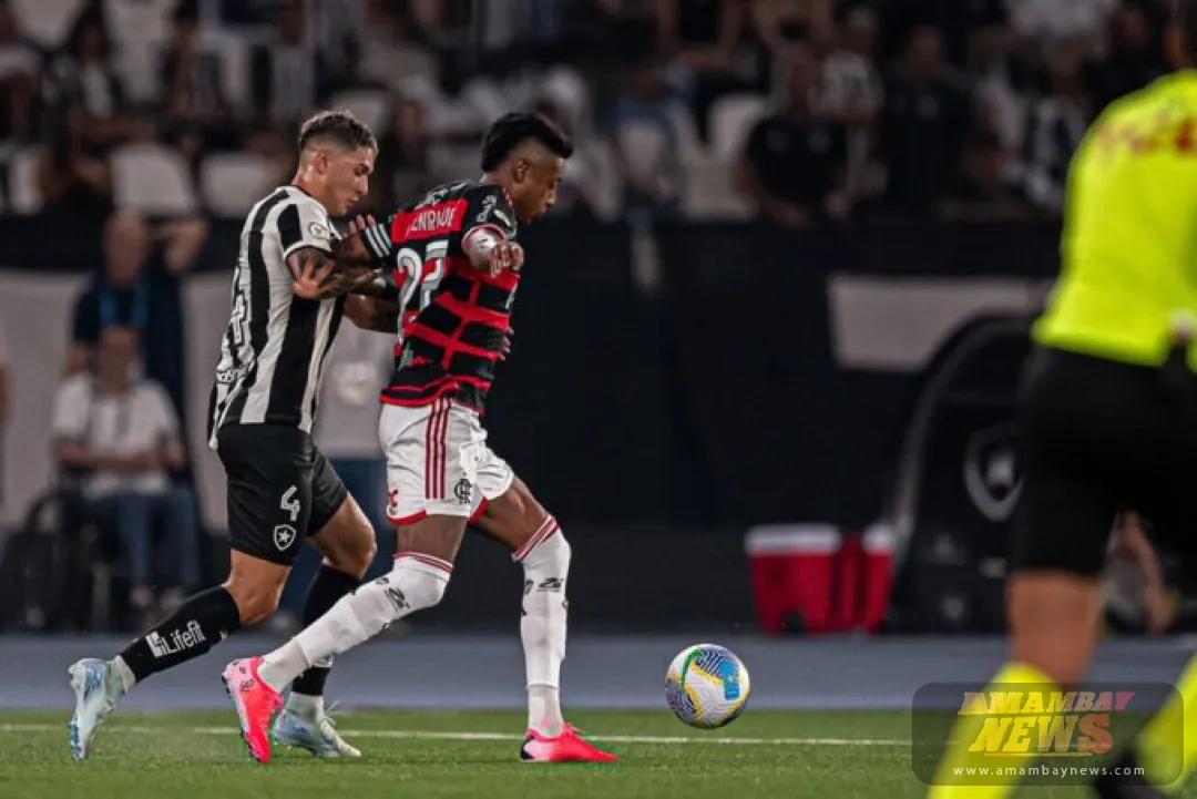 Botafogo vapulea al Flamengo y sigue firme al frente del Brasileirao