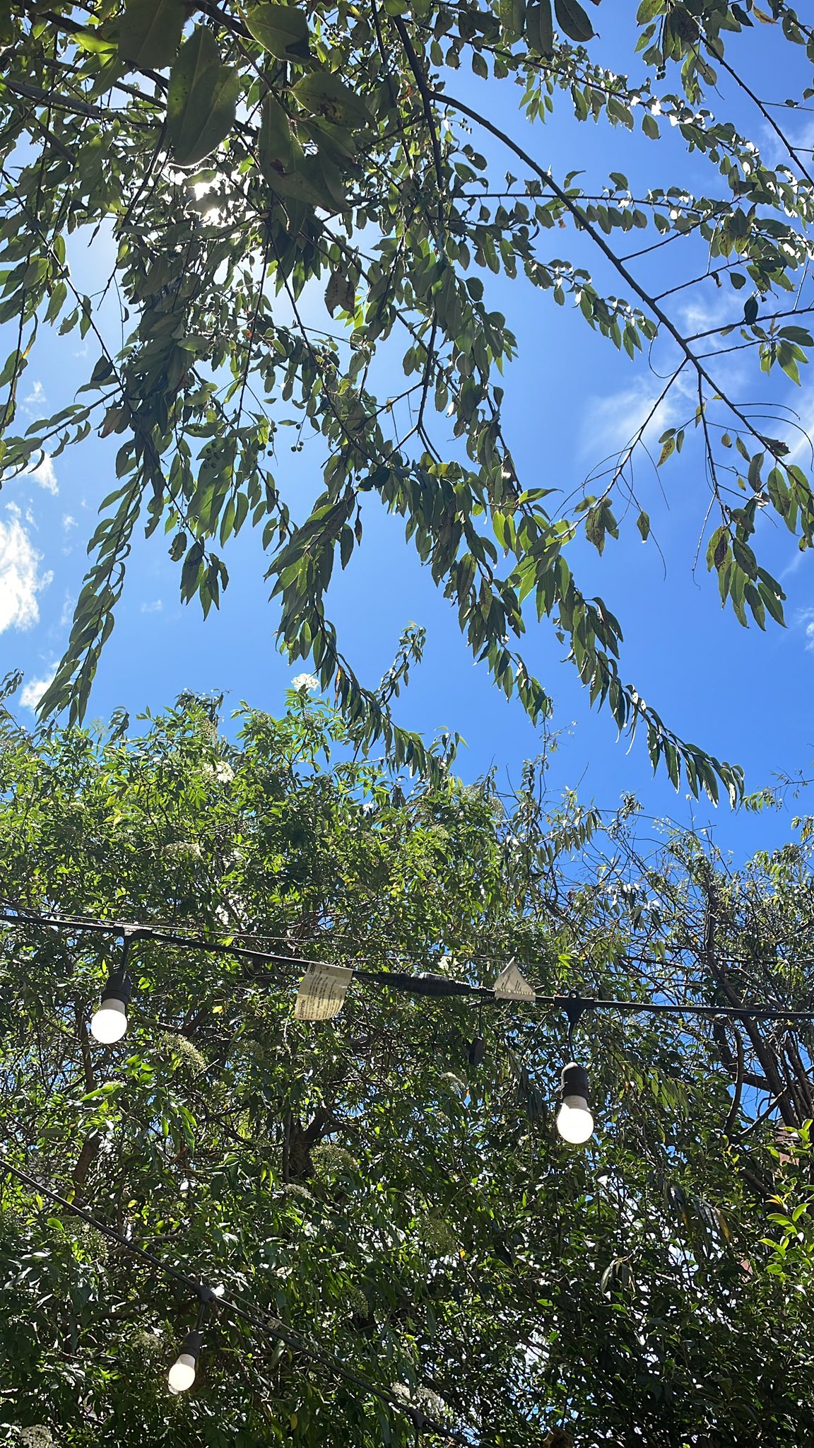 Domingo soleado, con clima fresco a cálido y sin lluvias