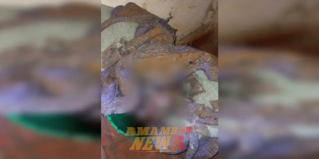 Terrible hallazgo en Horqueta: descubren cuerpo de un recién nacido en un balde