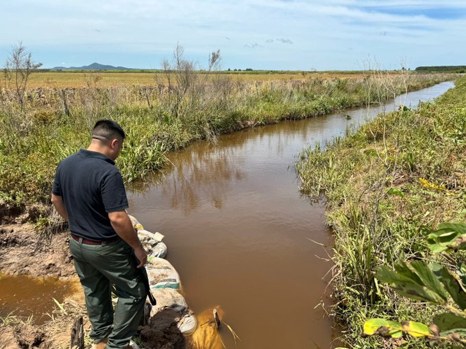 Mortandad de peces en Misiones: ordenan destrucción de represa agrícola