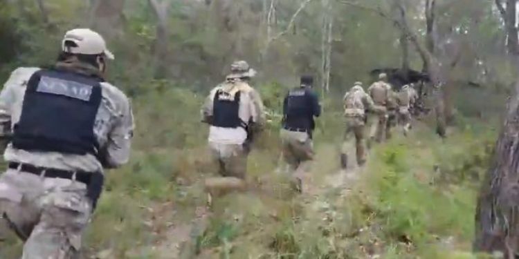 FTC, SENAD y MADES destruyen campamento de drogas dentro del Parque Nacional Paso Bravo