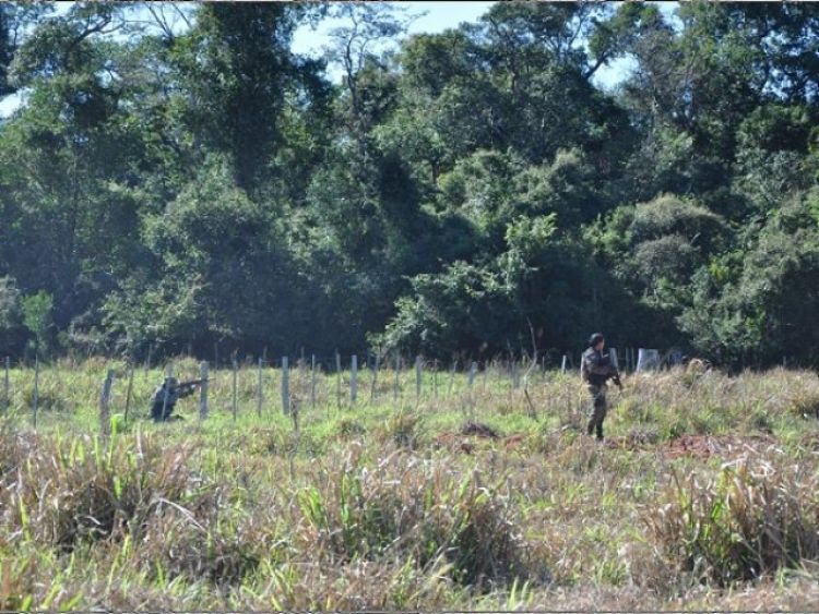 Desconocidos asaltan estancia en Concepción