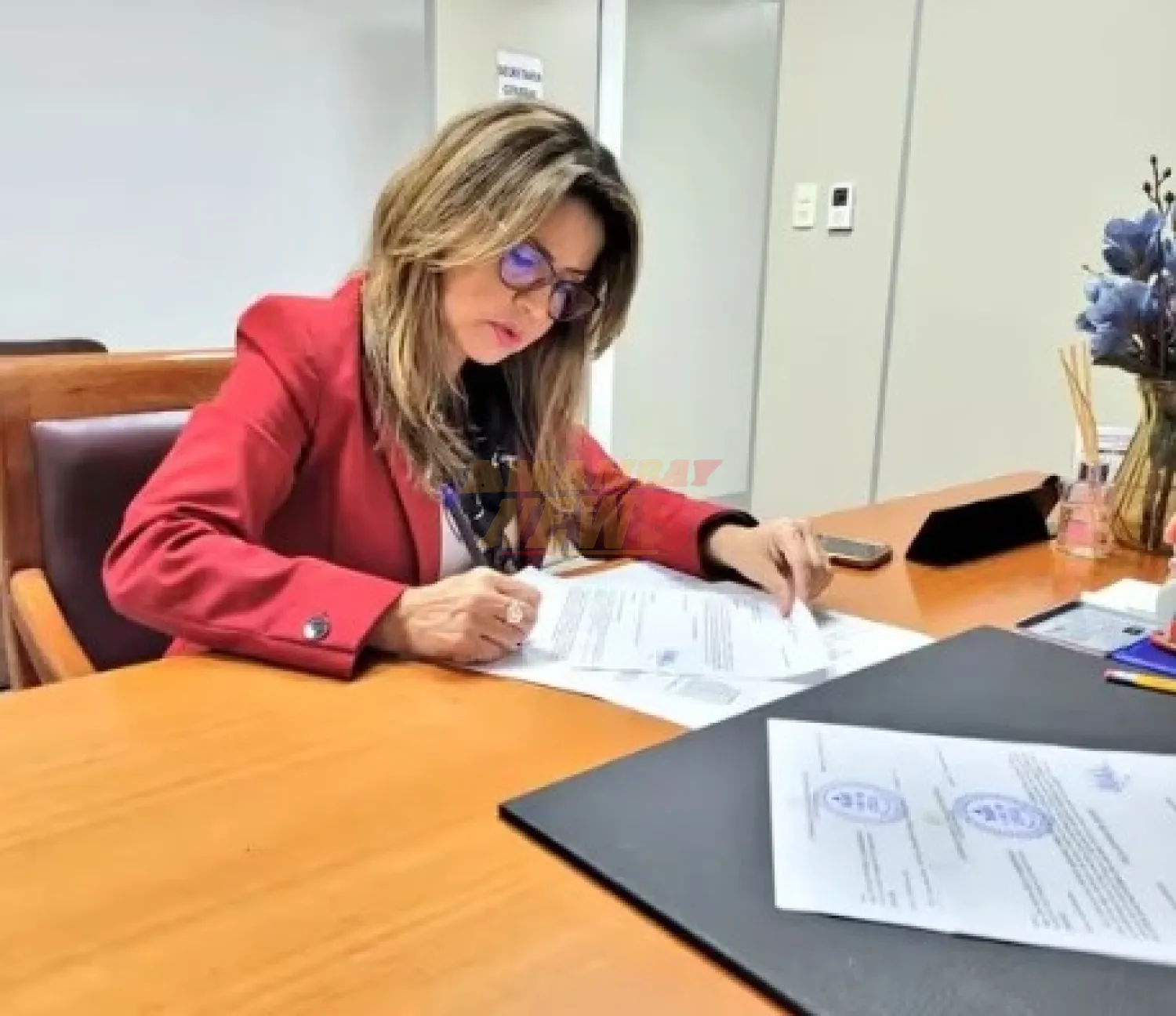 Piden auditoría de gestión en causas civiles vinculadas a mafia de los pagarés