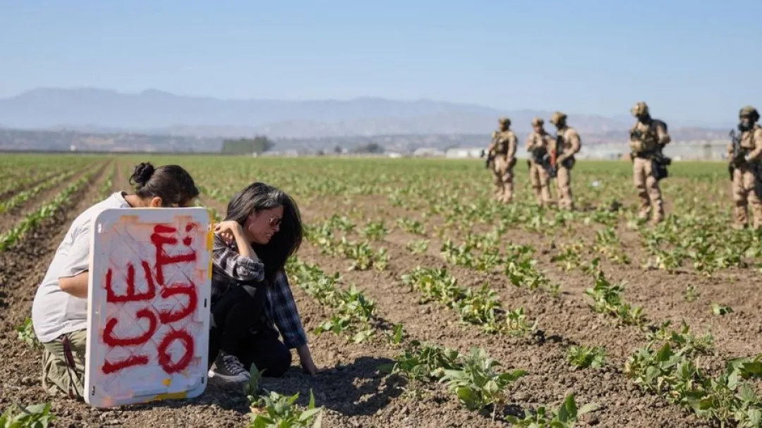 Asciende a 361 la cifra de migrantes detenidos tras redada en granja agrícola en California