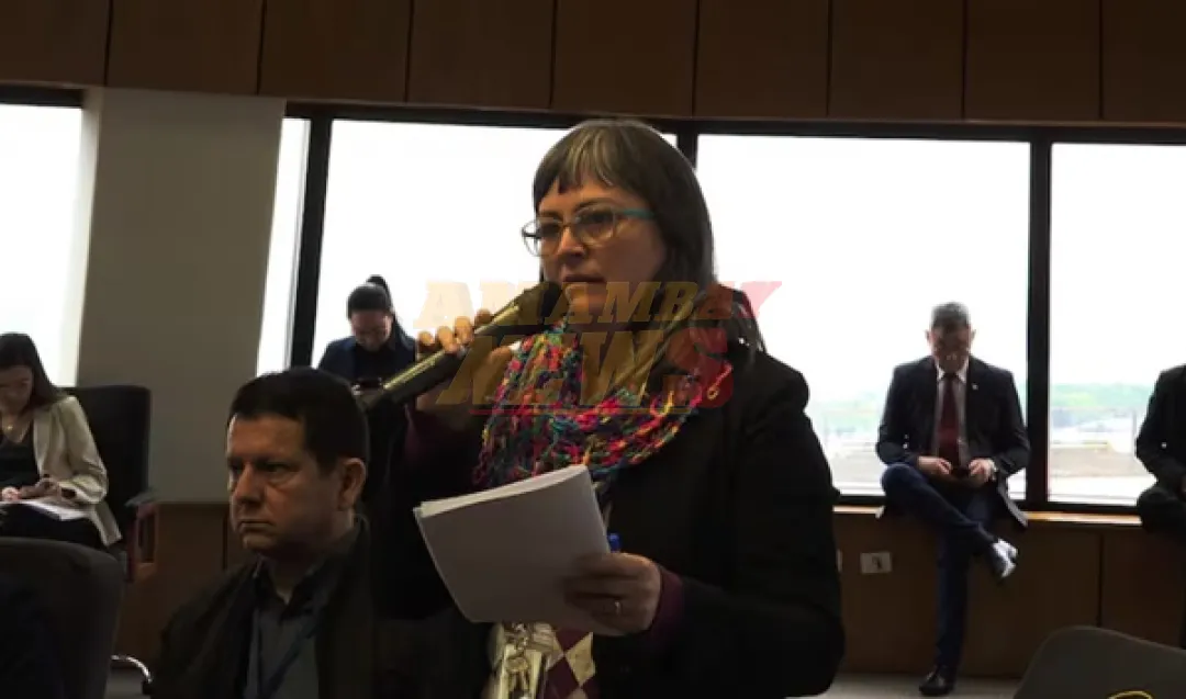 Canese advierte plan de privatización de la ANDE