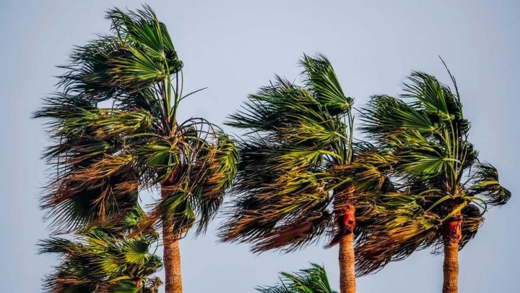 Fuertes vientos continuarán durante el resto del día, anuncia Meteorología