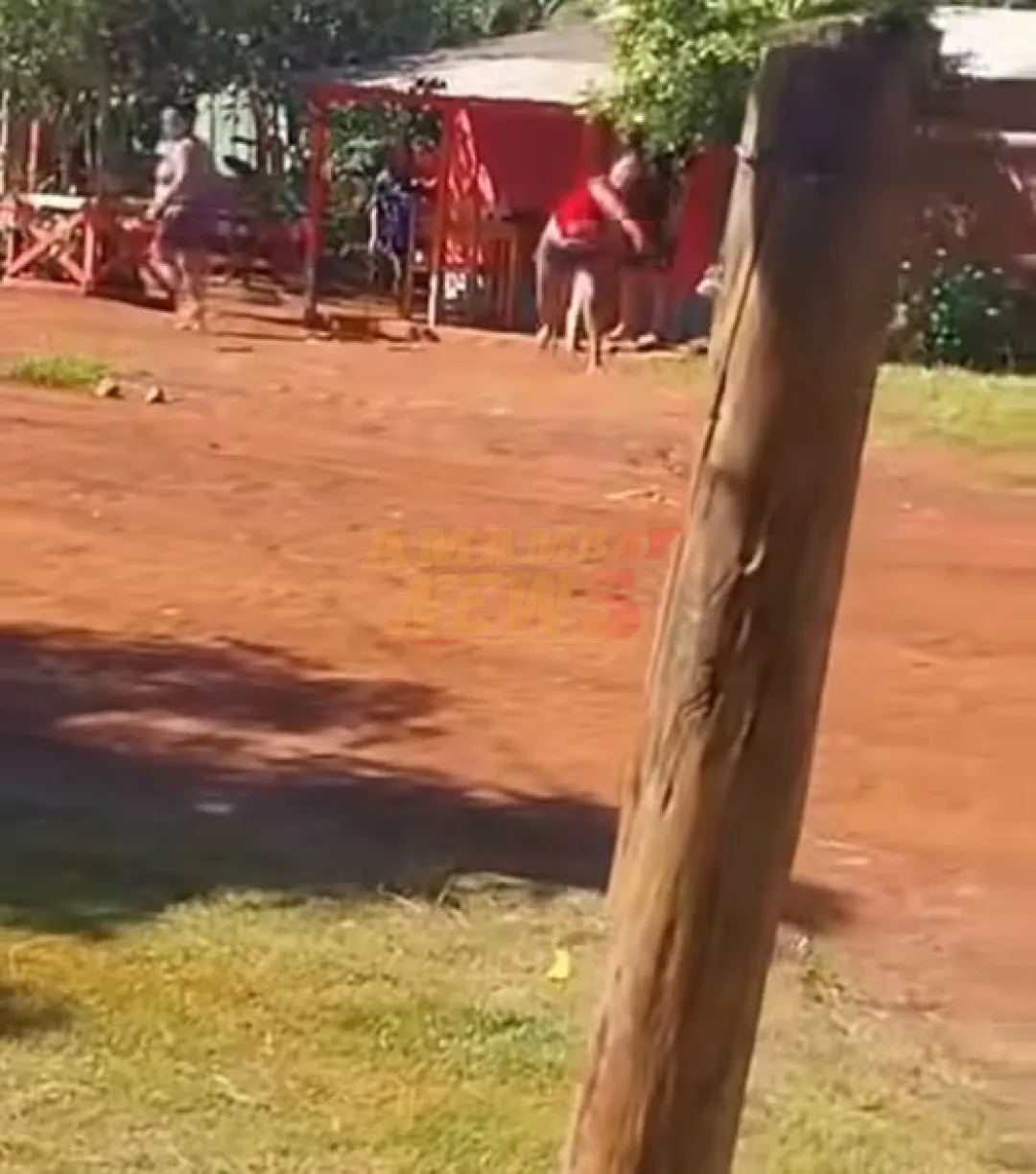 En Hernandarias ya se siente el ambiente navideño... A pedradas entre vecinos!!