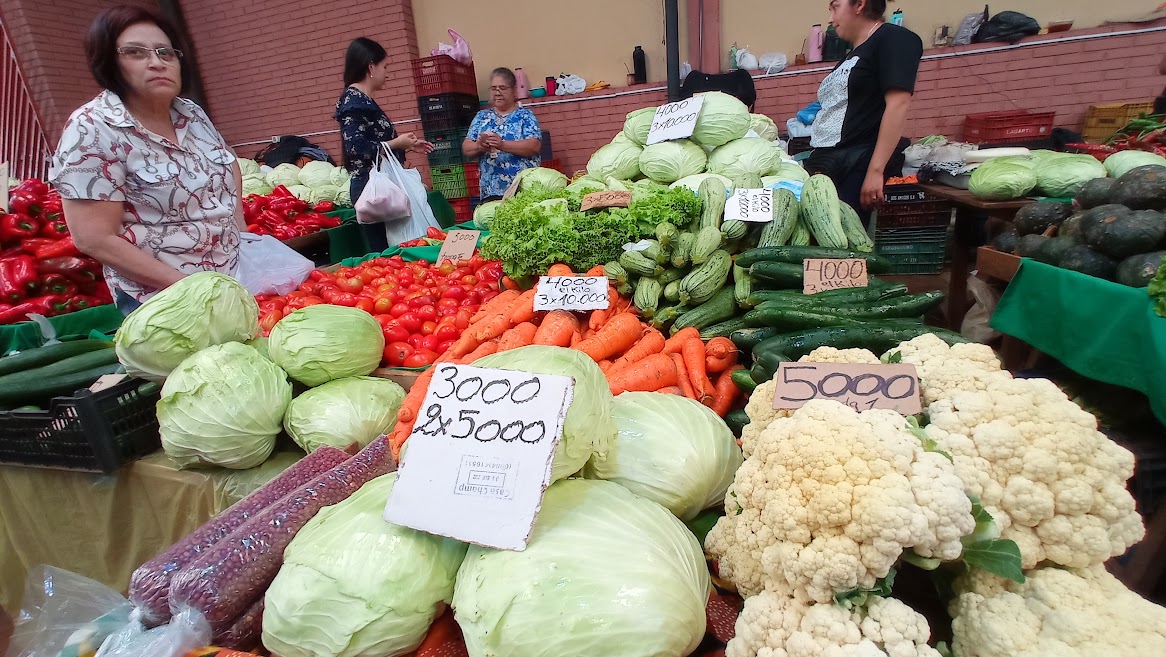 No hay mandioca y tampoco un programa de Gobierno para recuperar la producción
