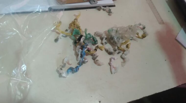 Incautan marihuana del poder de menores en el Centro Educativo de Itauguá