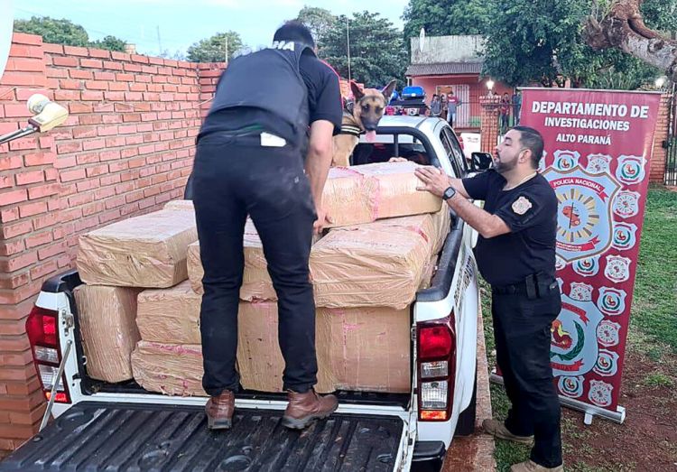 Incautan cerca de 1.200 kilos de marihuana y detienen a dos presuntos narcotraficantes en CDE