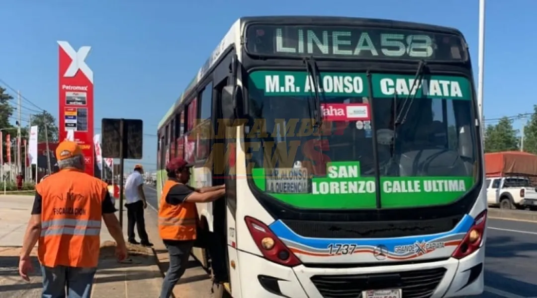 Instan a denunciar a empresas por incumplimientos en el servicio de transporte público