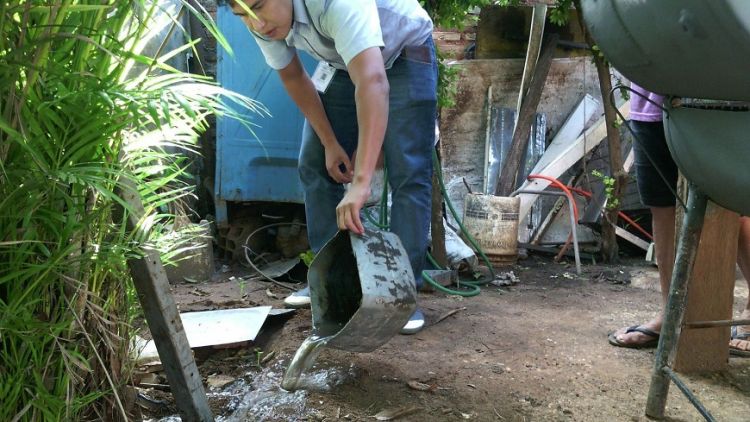 Salud pide eliminar criaderos del mosquito transmisor del dengue