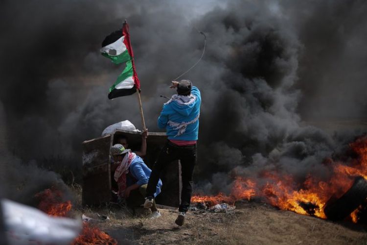 Los ataques en Gaza han sacado a más de 52.000 palestinos de sus hogares