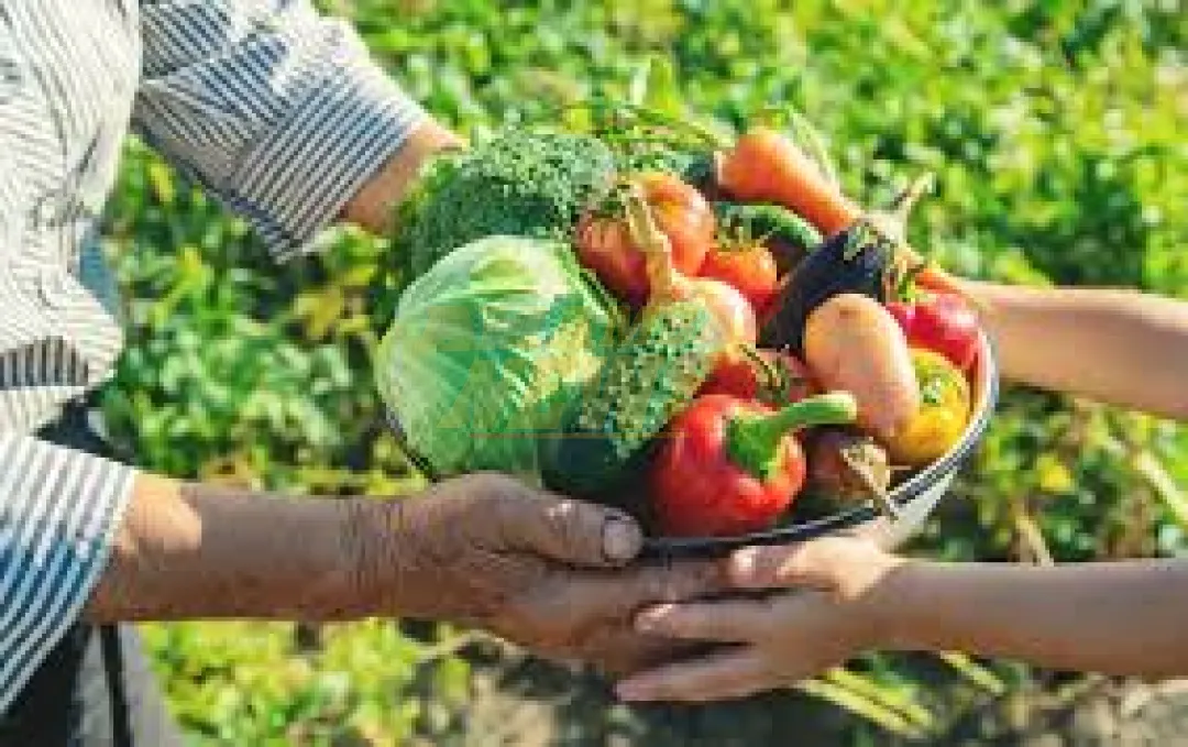 Hambre Cero: Ejecutivo oficializa adquisición obligatoria de insumos de la agricultura familiar